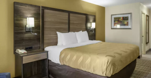 hotel bedroom with gold bedspread and wall color