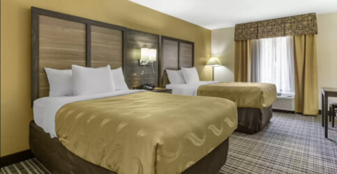 two hotel beds with gold bedspreads