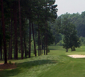 forested golf course