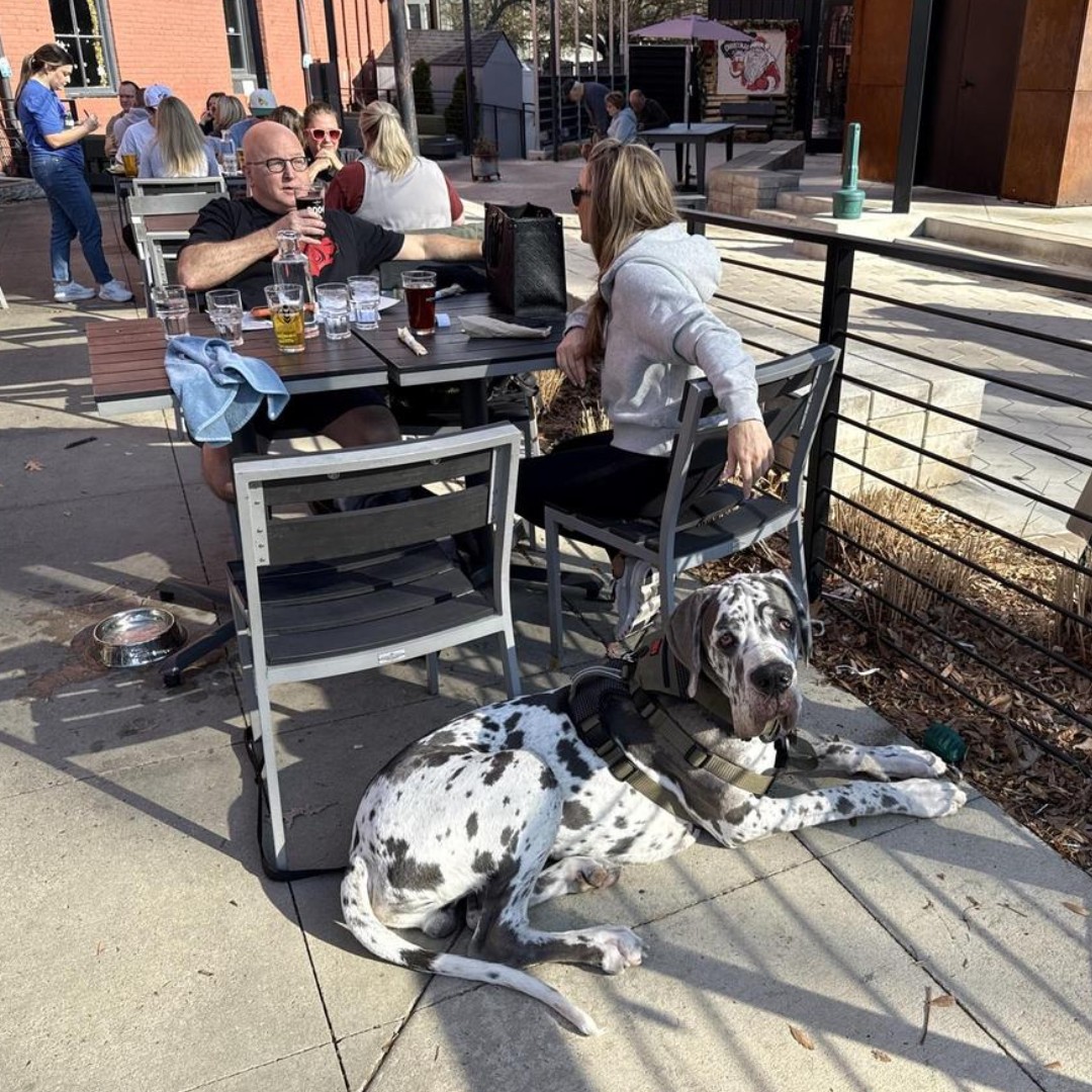 ${_EscapeTool.xml(imageAlt)}