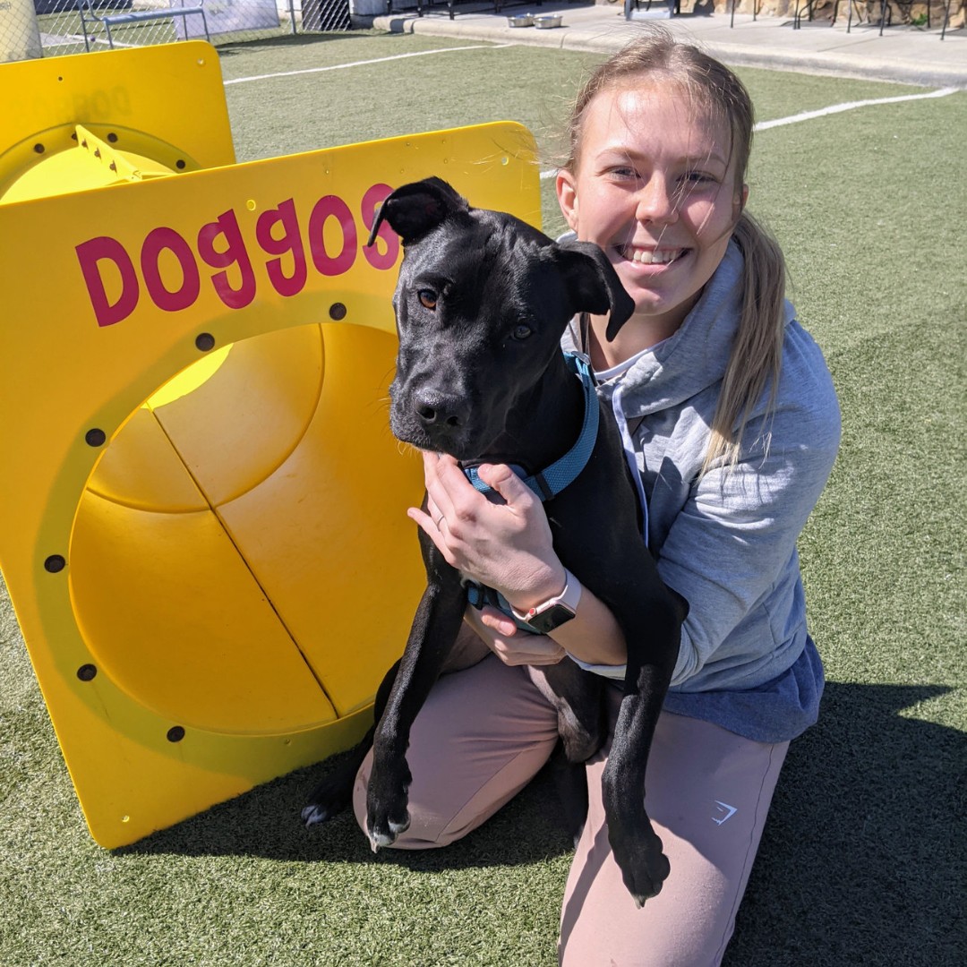 ${_EscapeTool.xml(imageAlt)}