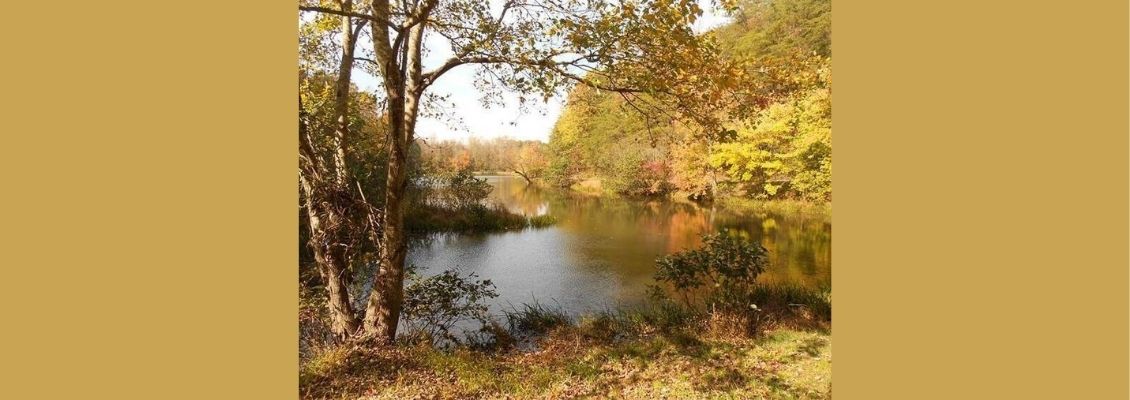 Friends of Haw River State Park 