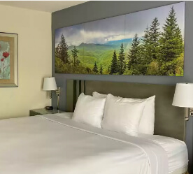 modern hotel bedroom with art