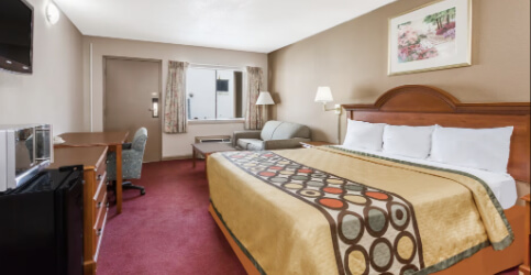 room with one bed and a couch