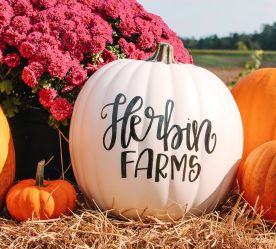 close-up of white pumpkin with name of farm on it