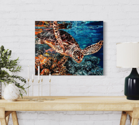 close-up of painting in house