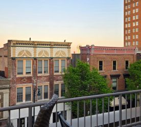 view of city from rooftop bar