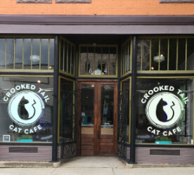 cat café exterior