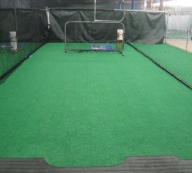 batting cage