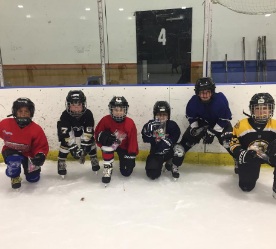 young hockey players