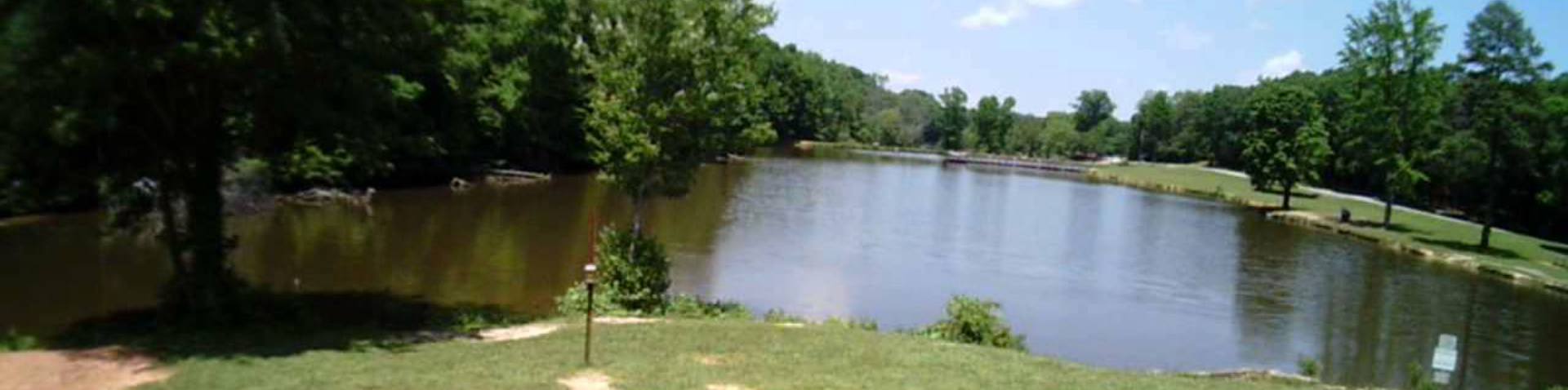 pond in a park