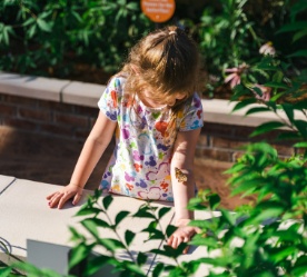 girl and butterfly