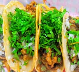 up close view of tacos