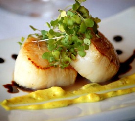 Scallops