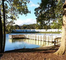 view of lake and dock