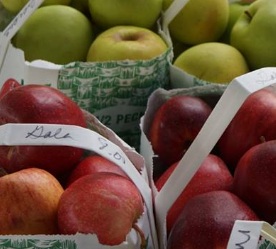 apples