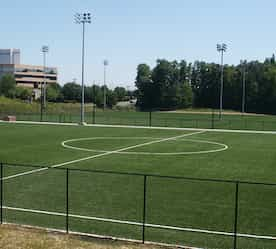 soccer field