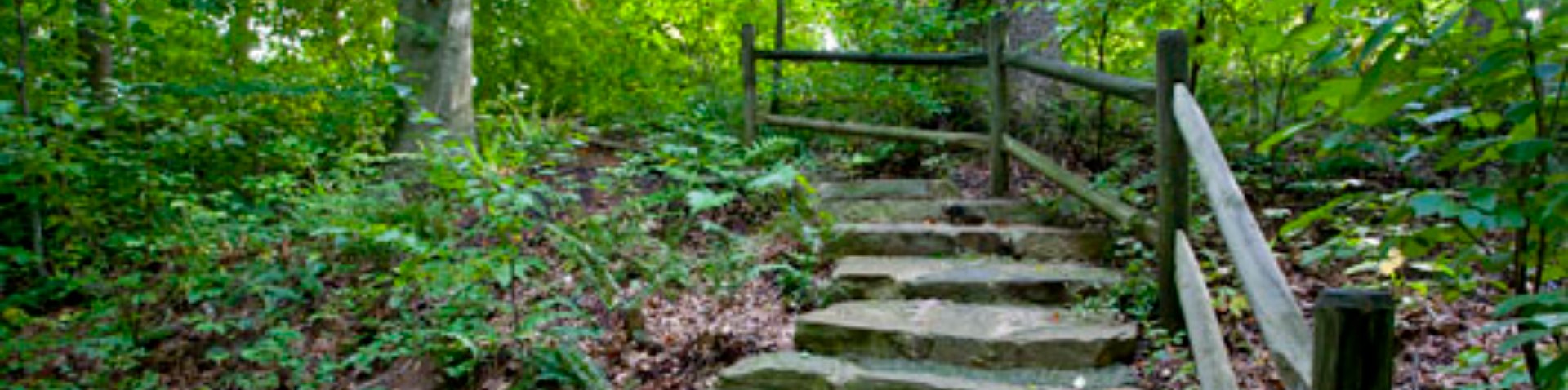 stone steps