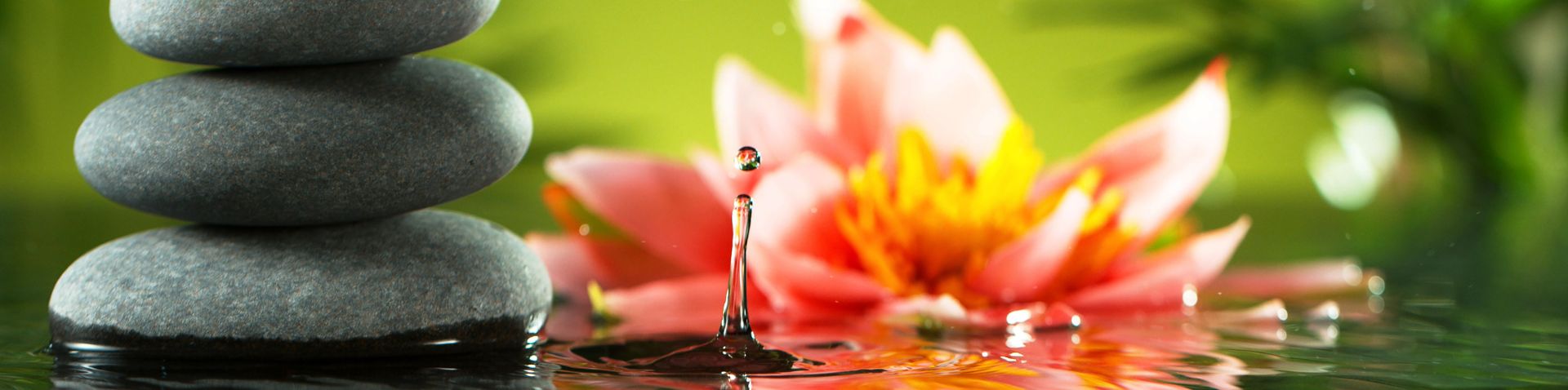 close-up of flowers and hot stones