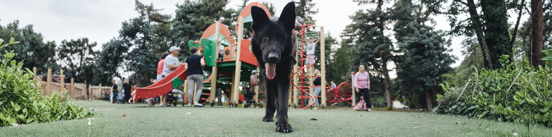 Greensboro National Pet Day