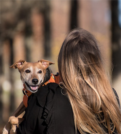 greensboro-unleashed-dog-paradise