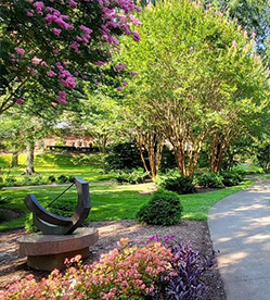 greensboro-green-scene