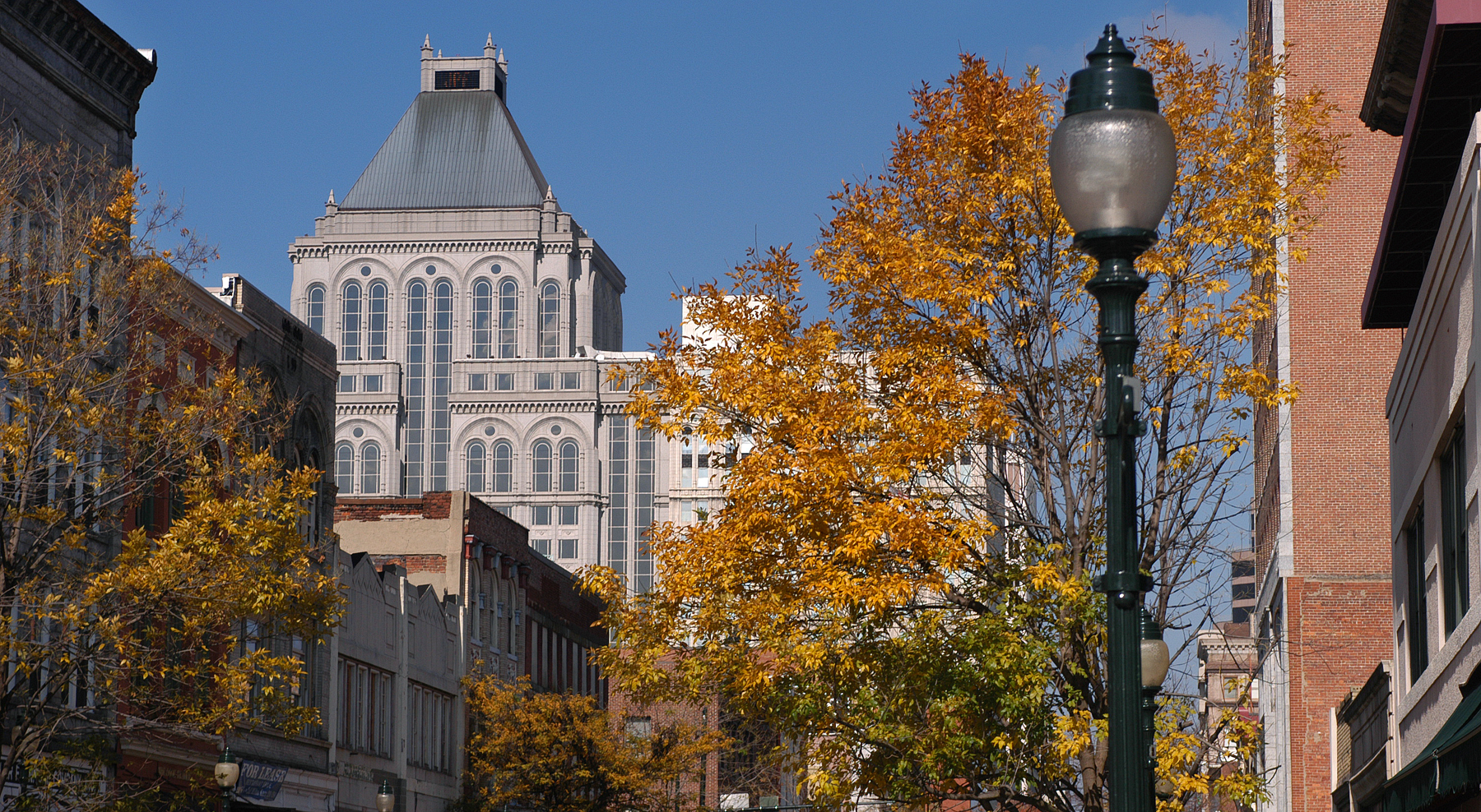 downtown greensboro business