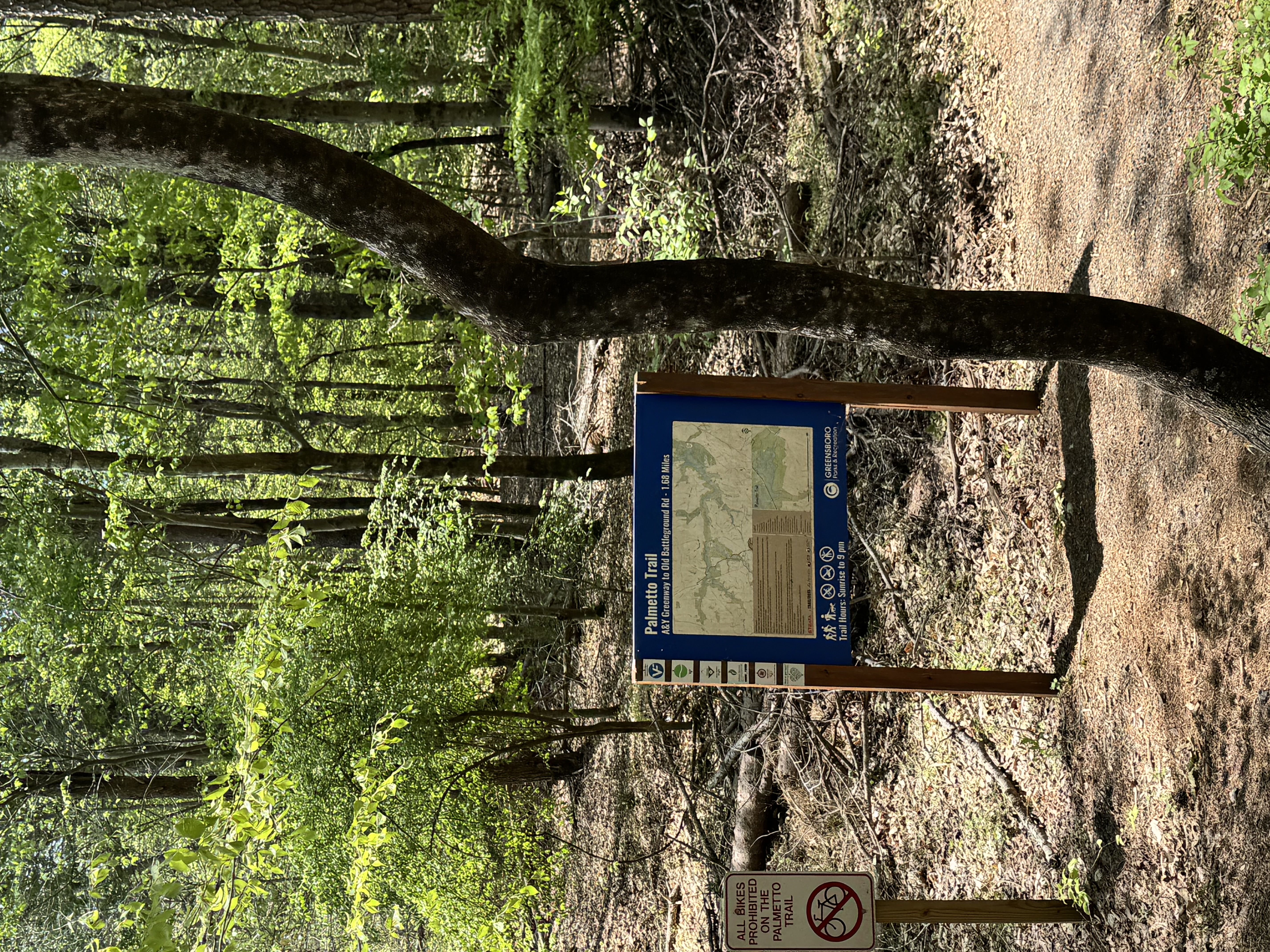 Bur Mil access to Palmetto Trail
