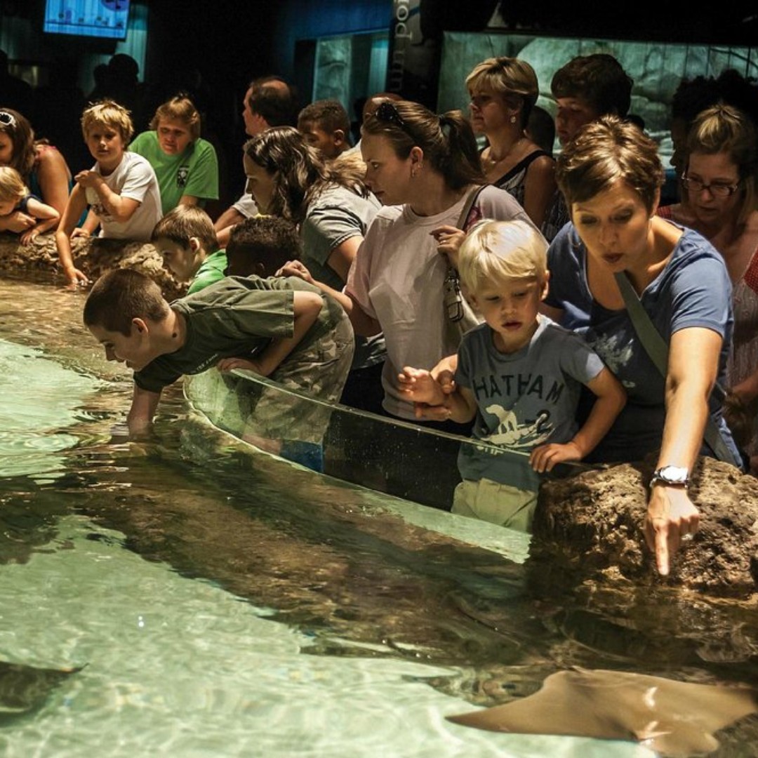 ${_EscapeTool.xml(imageAlt)}