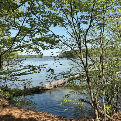 Owl's Roost Trail
